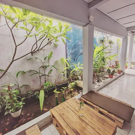 Reeneo Guesthouse-3